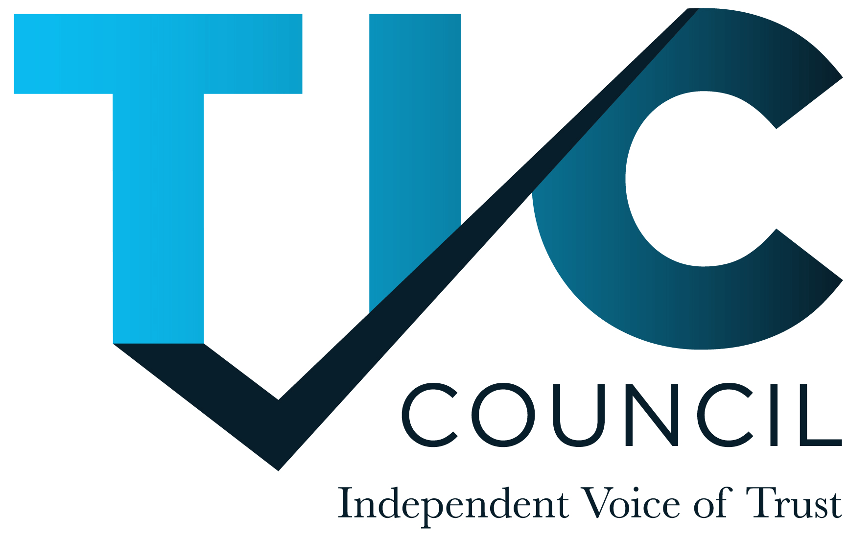 TIC Council